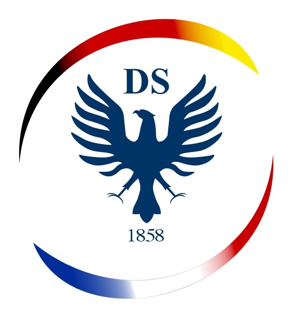 Logo_DSV_2010