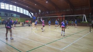 13906872_878355205629464_6495188460459776861_n